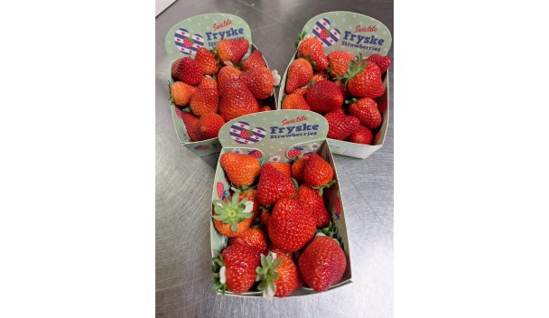 Bakje Fryske strawberries (aardbeien)